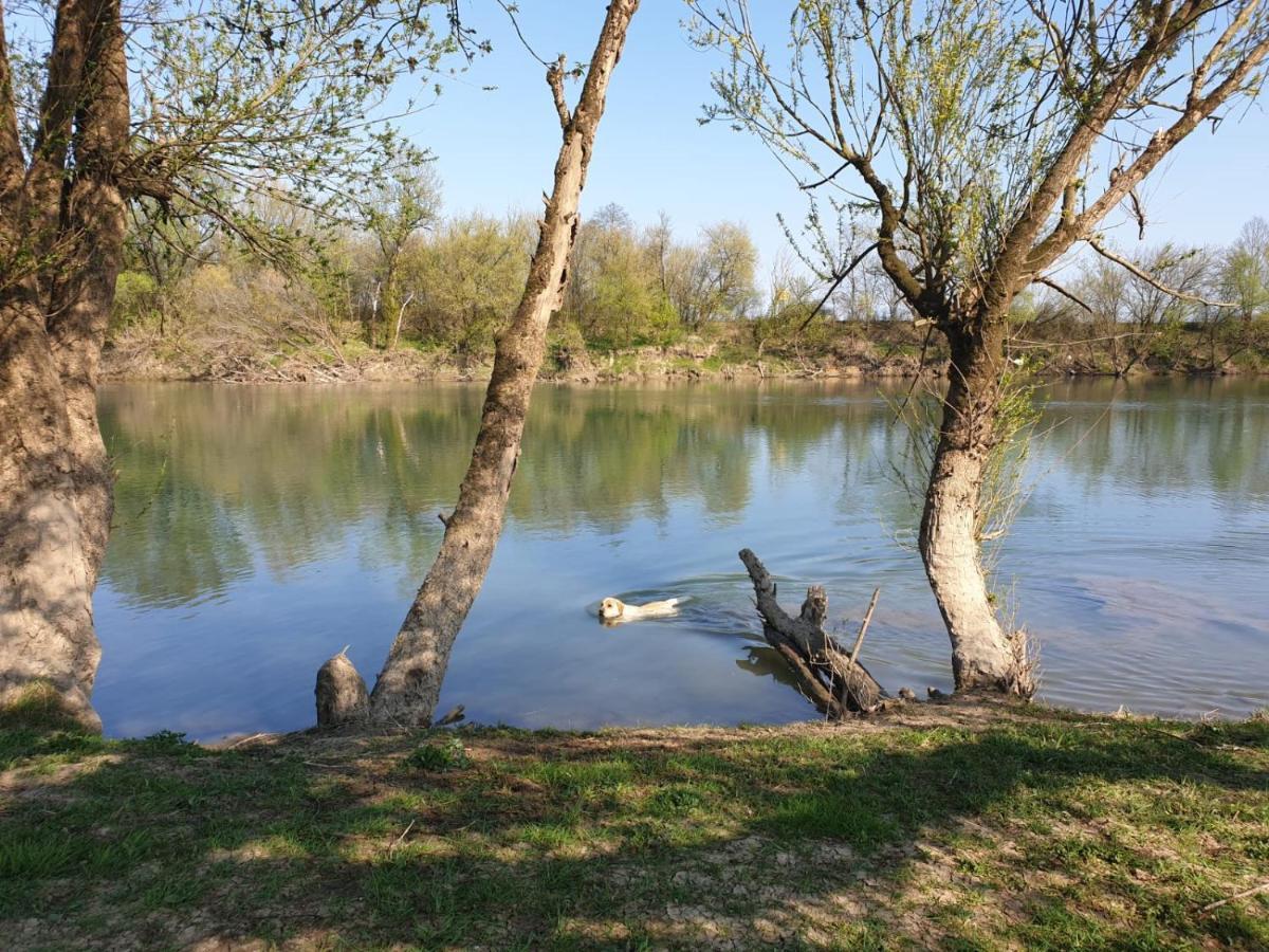 Guest House-studio Marina - With Special Offer For 2 Nights Or Karlovac